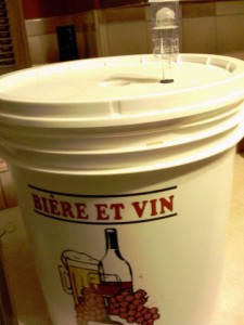 Fermenter w/ bubbling airlock