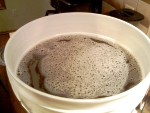 Pre-Fermentation