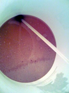 Fermenter Sediment