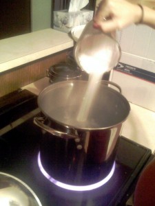 Boiling Bitter Wort
